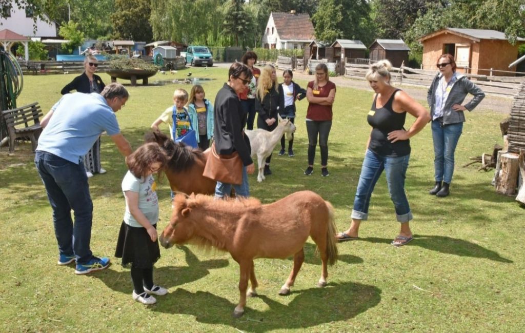 Kinder und Erwachsene streicheltn zwei braune Ponys.