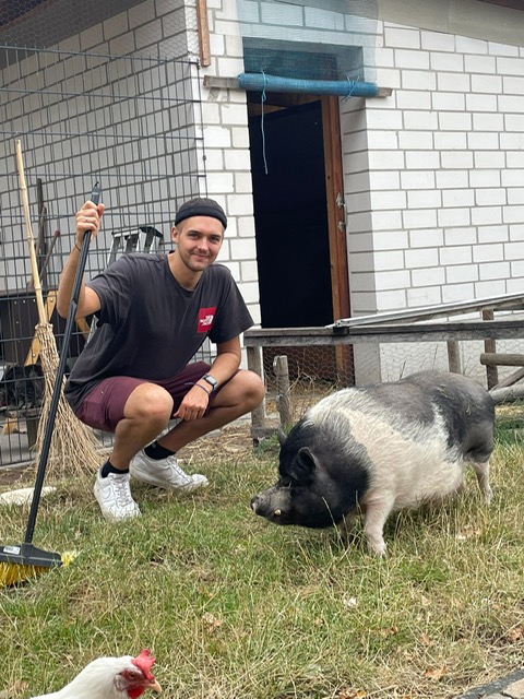 Eine Person kniet neben einem Schwein.
